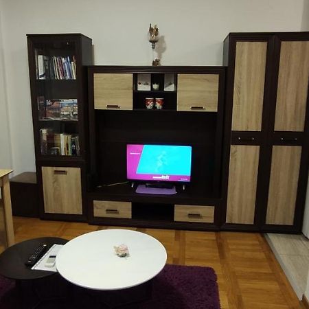 Apartman Bulevar ノヴィ・サド エクステリア 写真