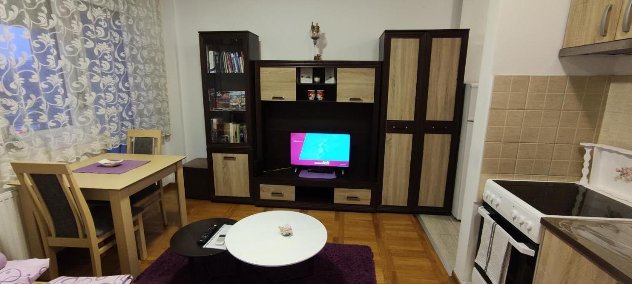 Apartman Bulevar ノヴィ・サド エクステリア 写真